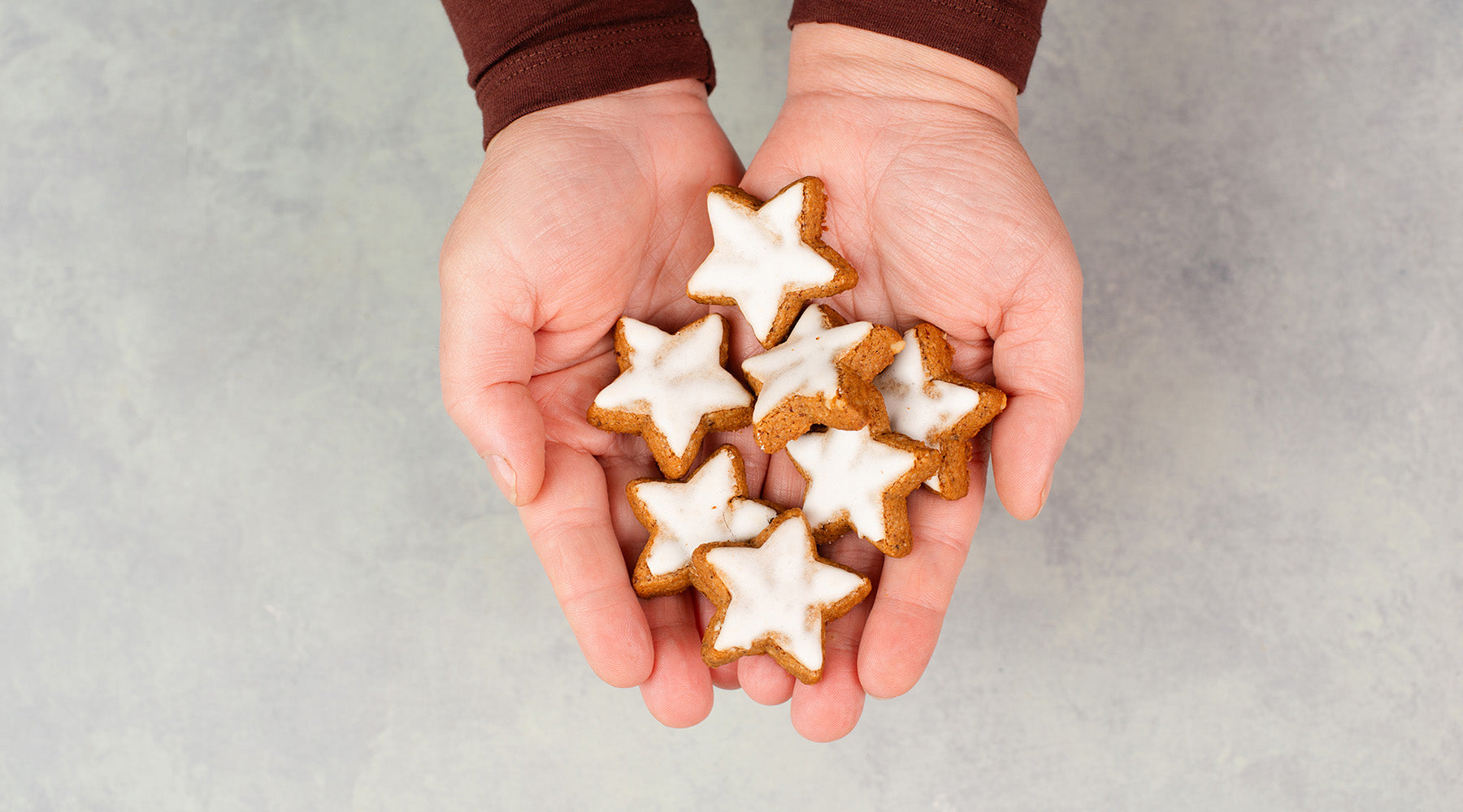 Cinnamon Sugar Iced Holiday Cookies in Hand